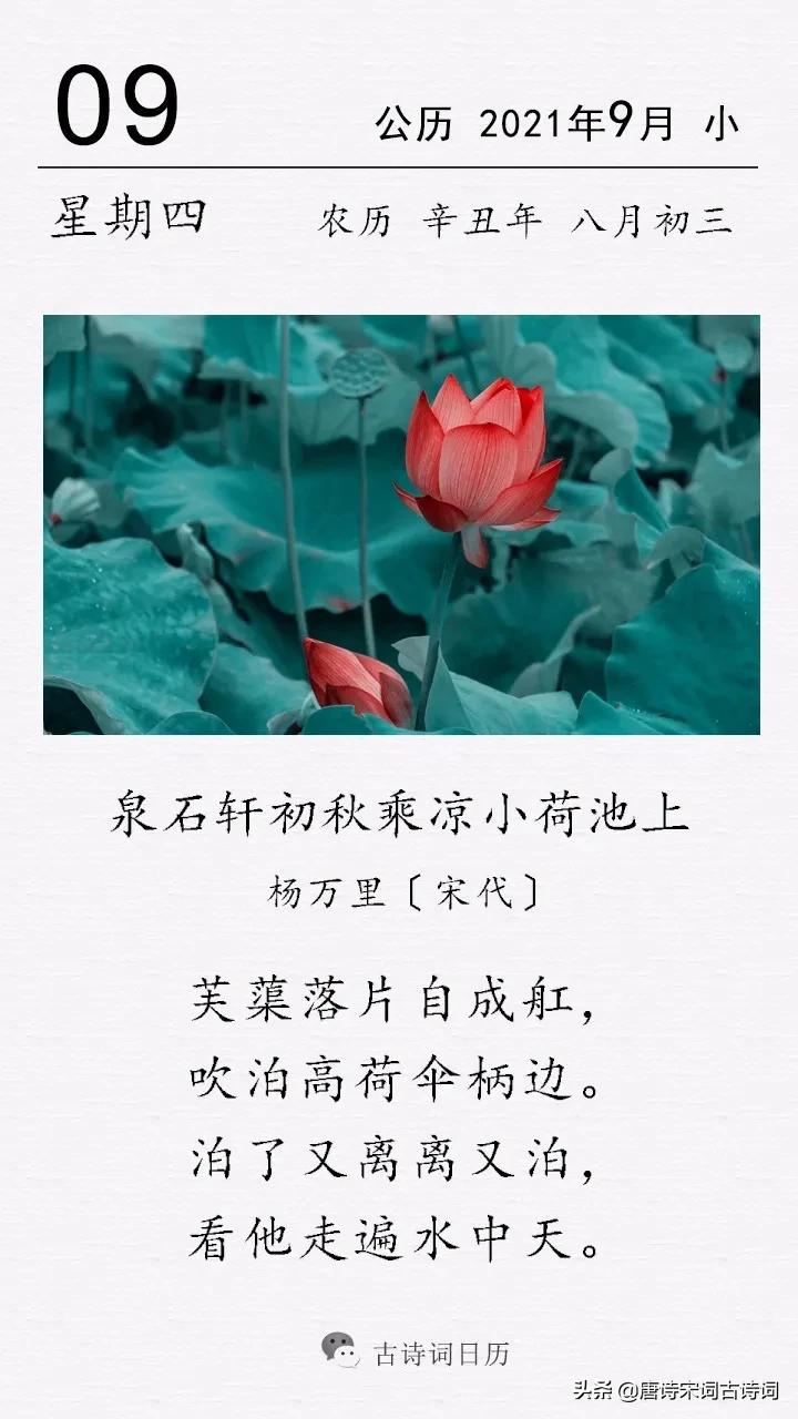 宋杨万里咏荷诗(这是宋代诗人杨万里的一首咏荷诗)