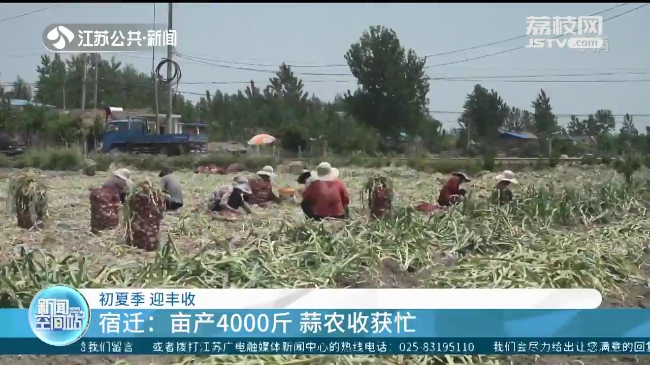 初夏时节 江苏农产品迎来丰收
