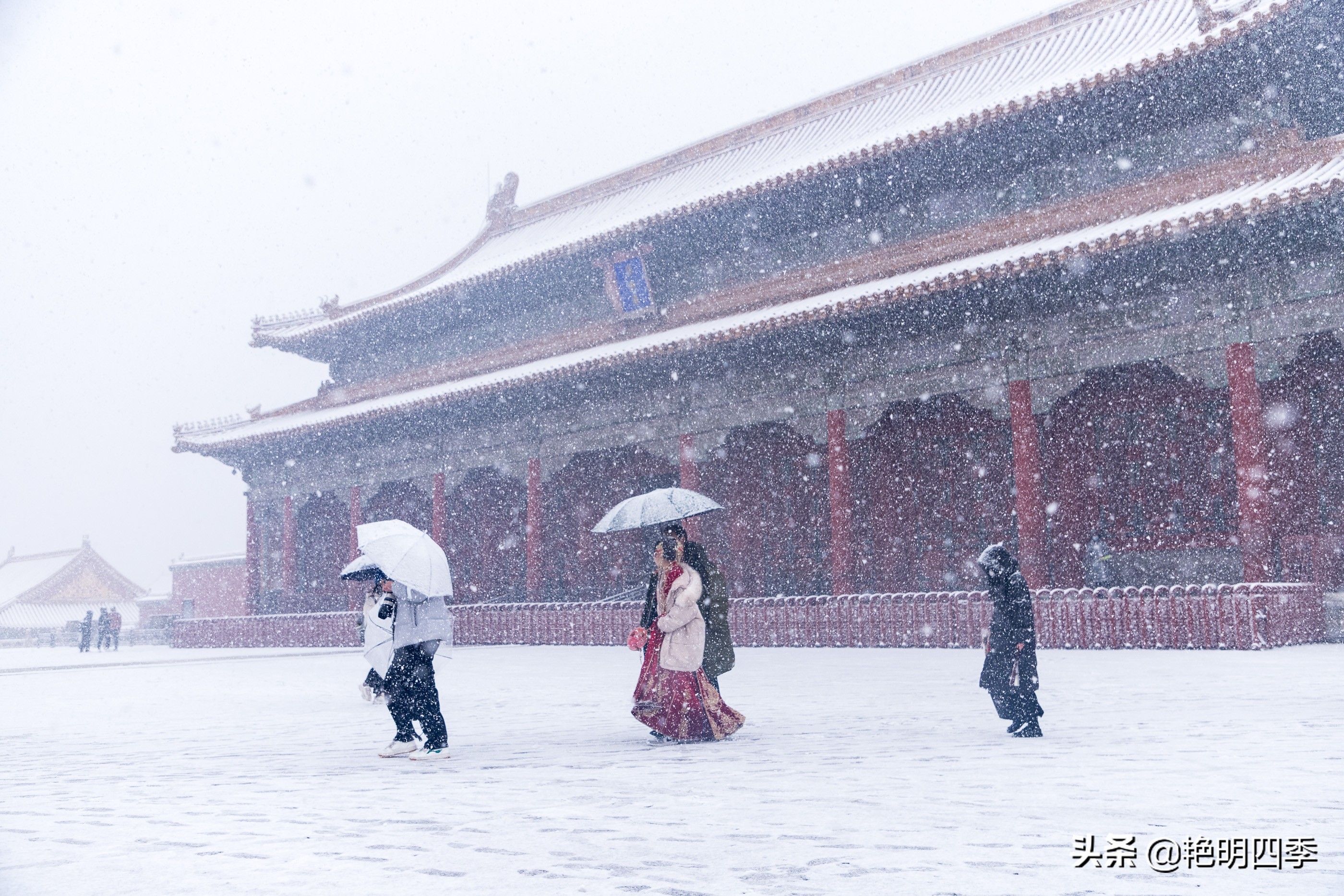 春天里，在紫禁城看一场大雪，与冬天做一个郑重的告别