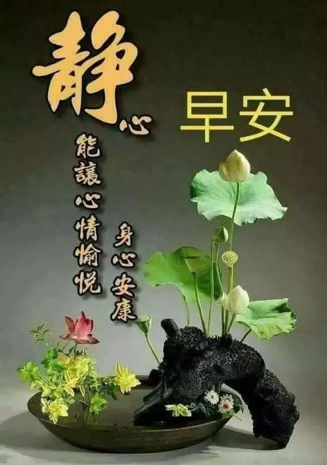 创意好看的早上好祝福图片带字温馨 一天一个梦想，祝你快乐安康图片