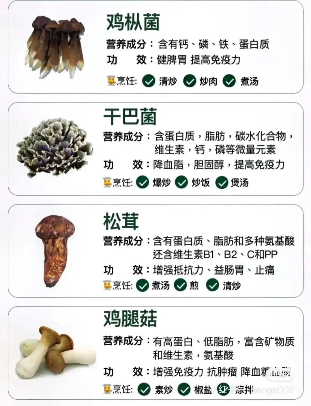 常見蘑菇的分類