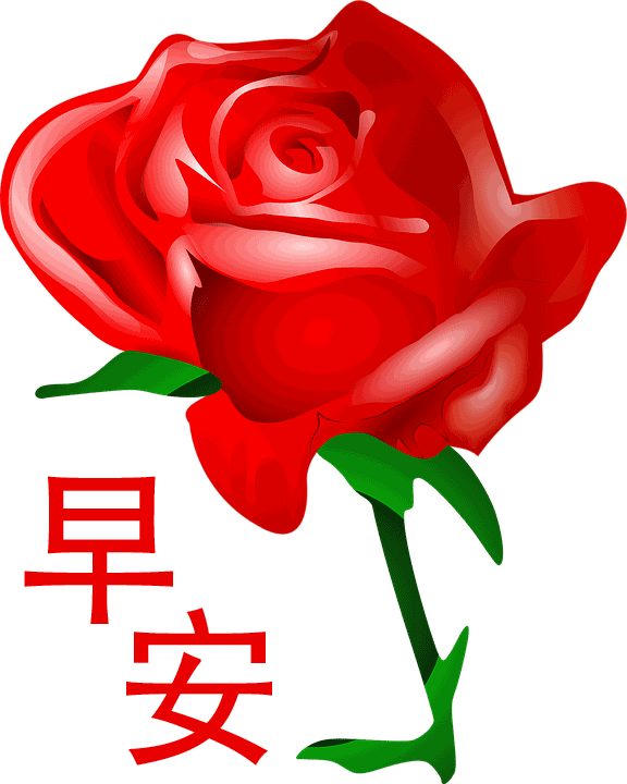 今日清晨早上好问候动态表情包图片 笑看昨日，珍爱今日，期待明日图片