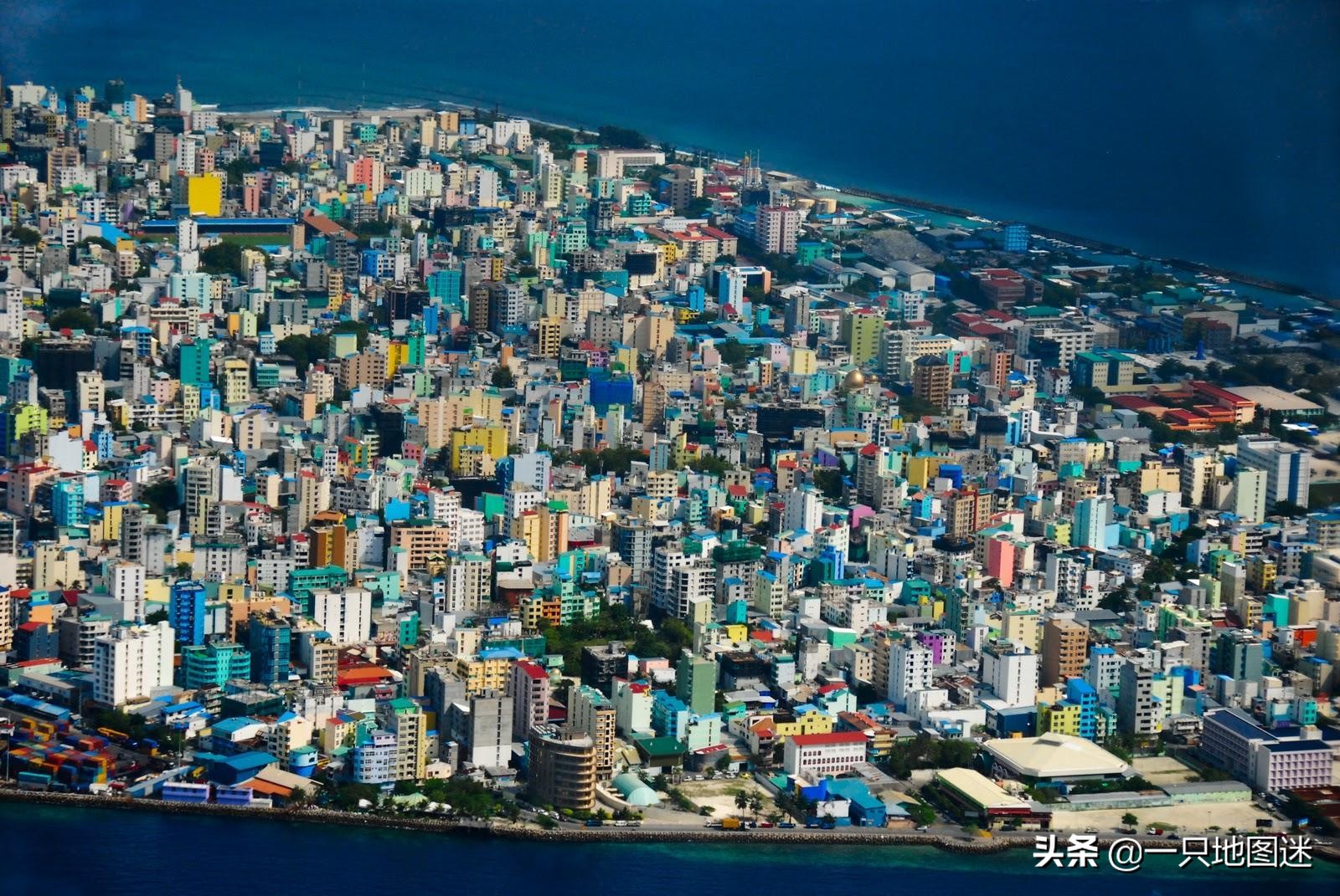 马尔代夫红珊瑚价格全球最