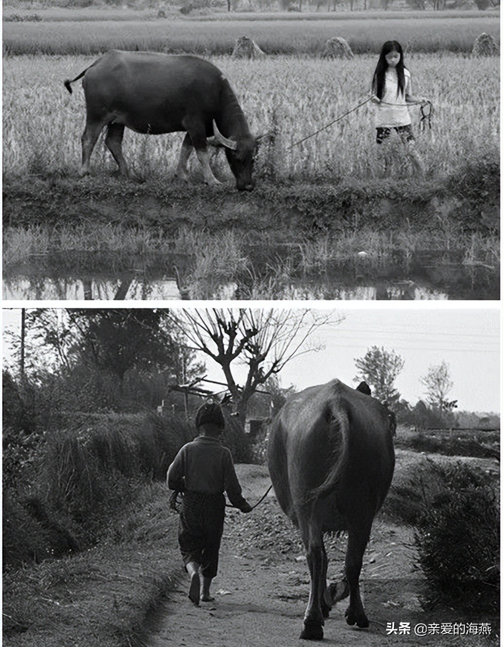 童年的回忆图片(50张老照片) - 赤虎壹号