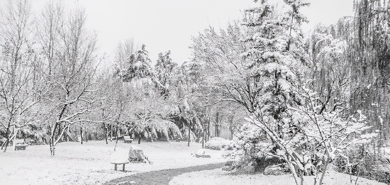 凭借阿里P8心机题库，在互联网寒冬杀出血路，稳斩6家大厂offer