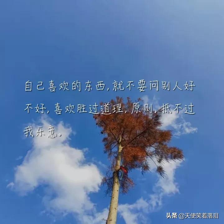简短好句分享(消失宾妮经典语录)