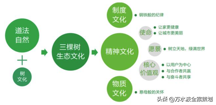 涂料品牌销售设计策划方案：万水波解读三棵树成为健康漆品类之王