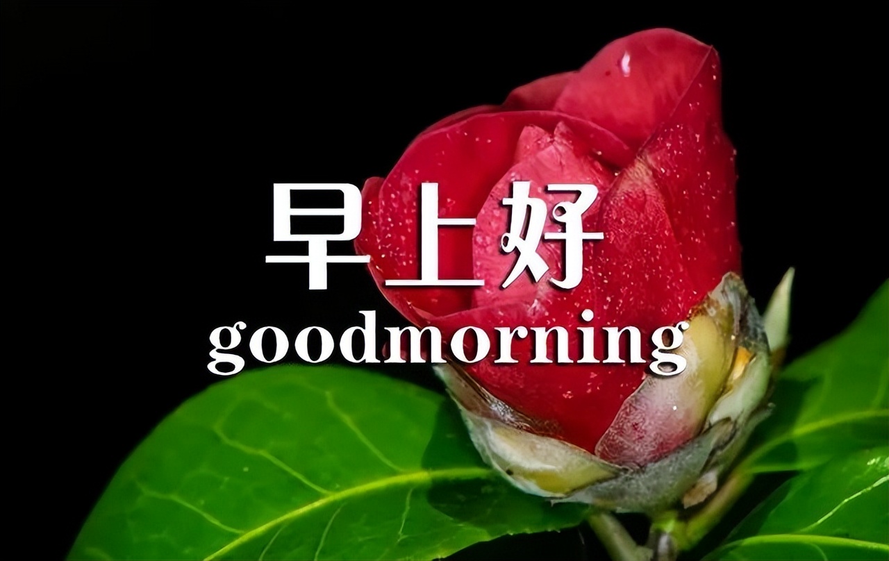 周四早上好祝福图片，早上好问候句子，送上祝福、一切美好图片