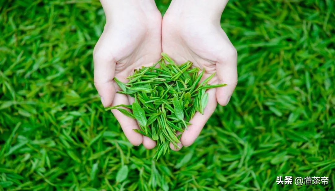 喝茶的女人不一般，选对茶更重要！你适合哪种茶？