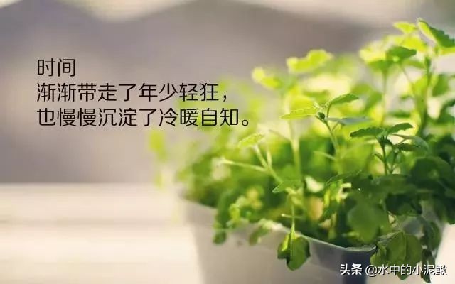 早上好微信早安励志语录分享，3月微信早安图片正能量