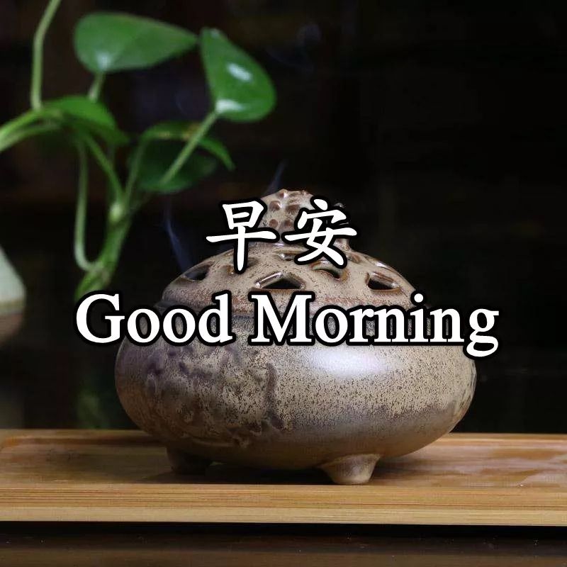 周六微信群最美早上好问候语和关心话 祝你从早到晚好运连连图片