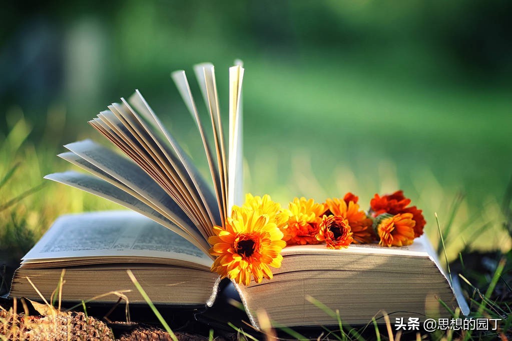 写给老年大学的诗行——通辽市老年大学《蜂巢》诗社