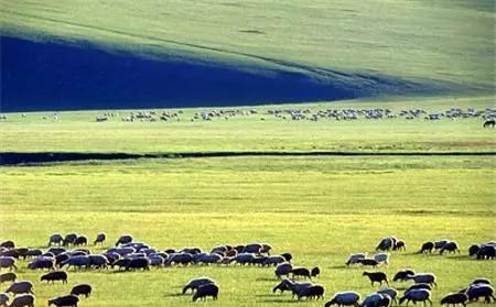 美丽的草原，我来了