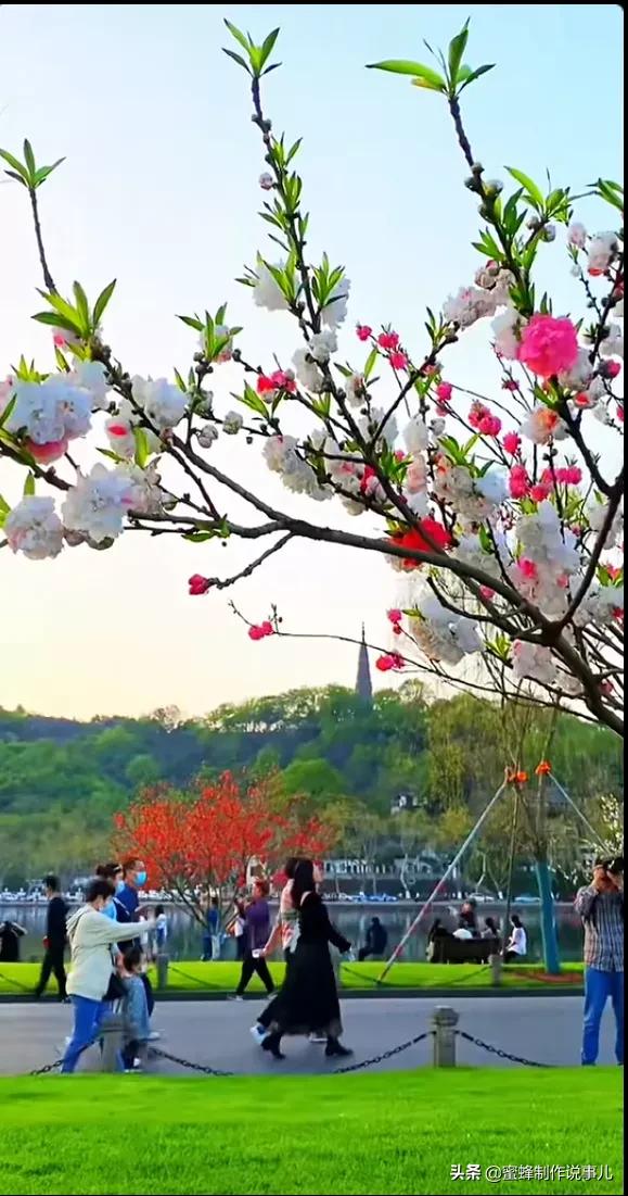 笑看花开，是一种美好的心情