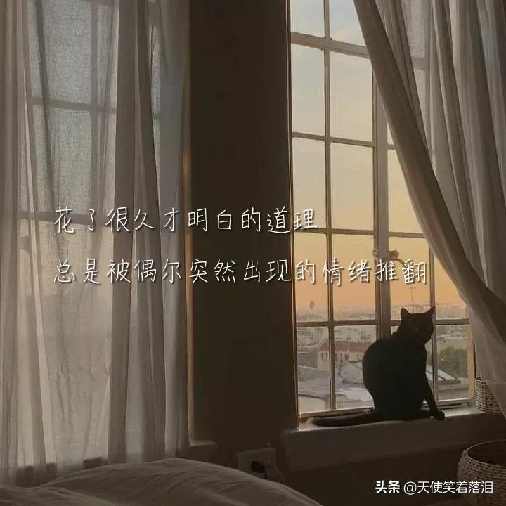 简短好句分享(消失宾妮经典语录)