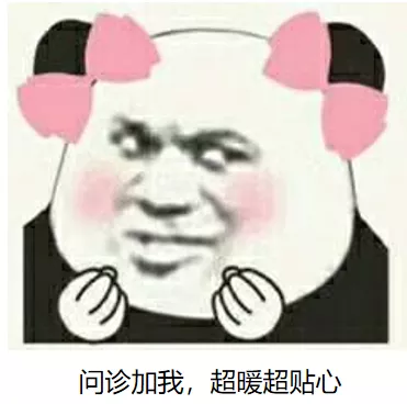 新年宠物托运保姆级指南,为了毛孩子一定要看