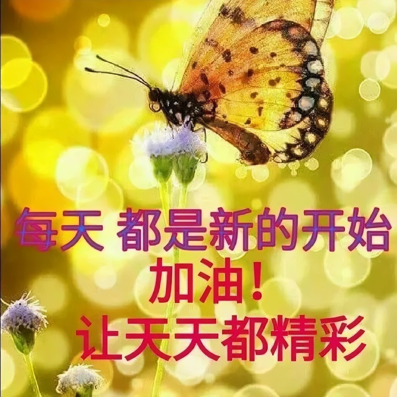星期日早上好动态表情图片大全，早上好动图美图鉴赏图片