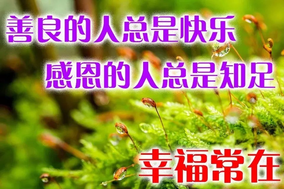 周五早上好朋友 微信早晨好问候祝福 幸福安康，一路精彩，一路芬芳图片