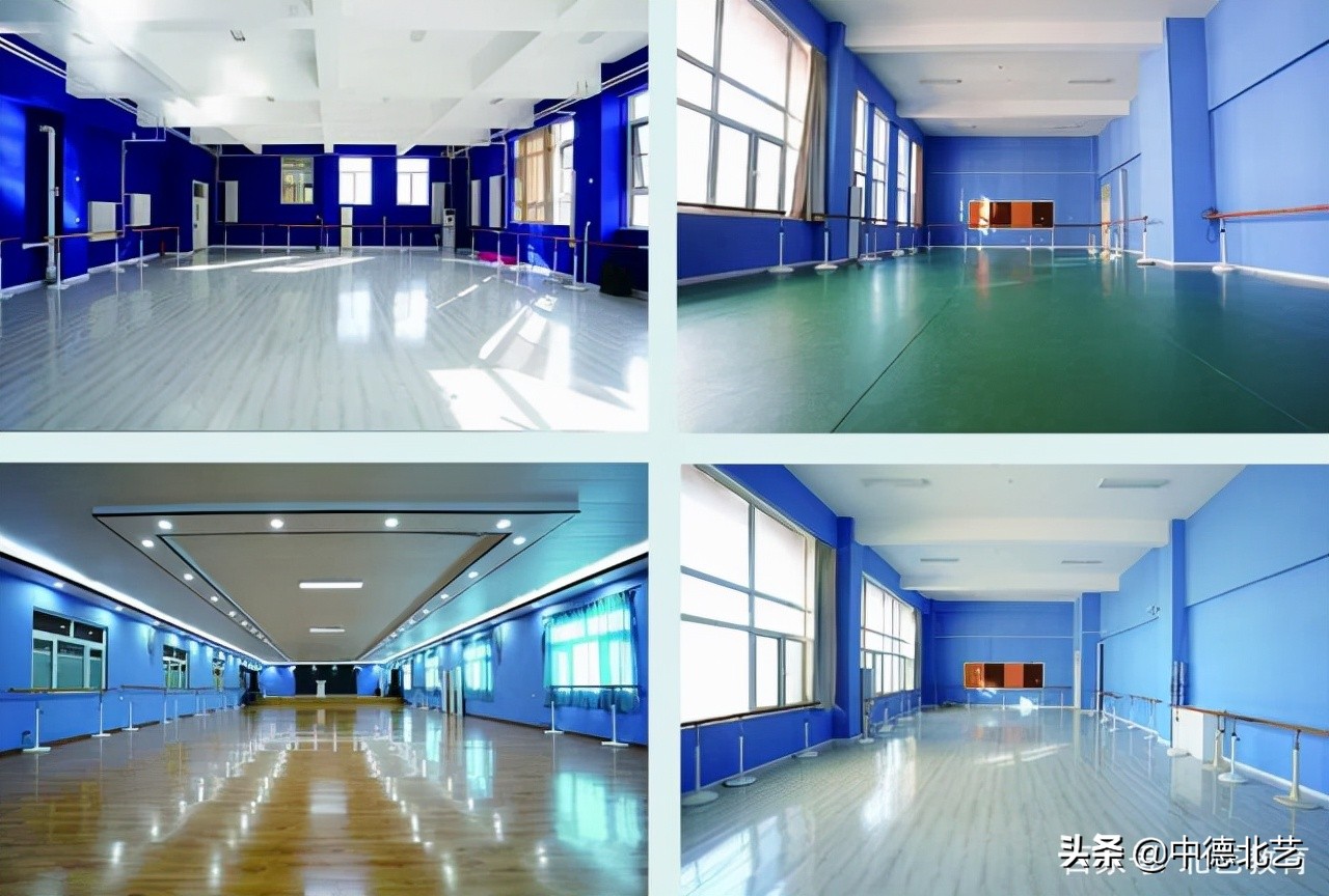 @艺术生！中德北艺2022年艺术专业招生简章来了