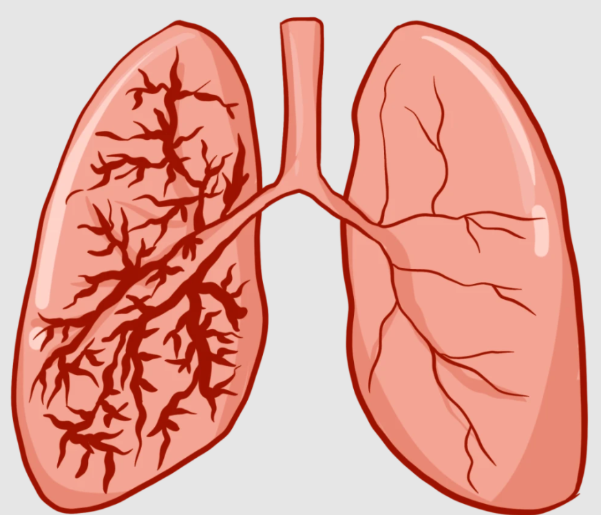 �о����֣�����ƿ�����4��������ƿ��Σ���������ͽ����������