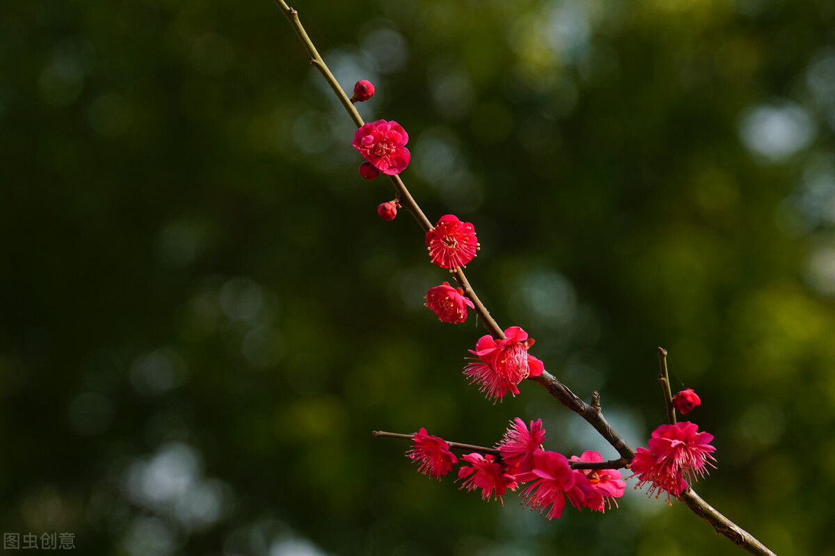 春暖花开，愿你有个好心情