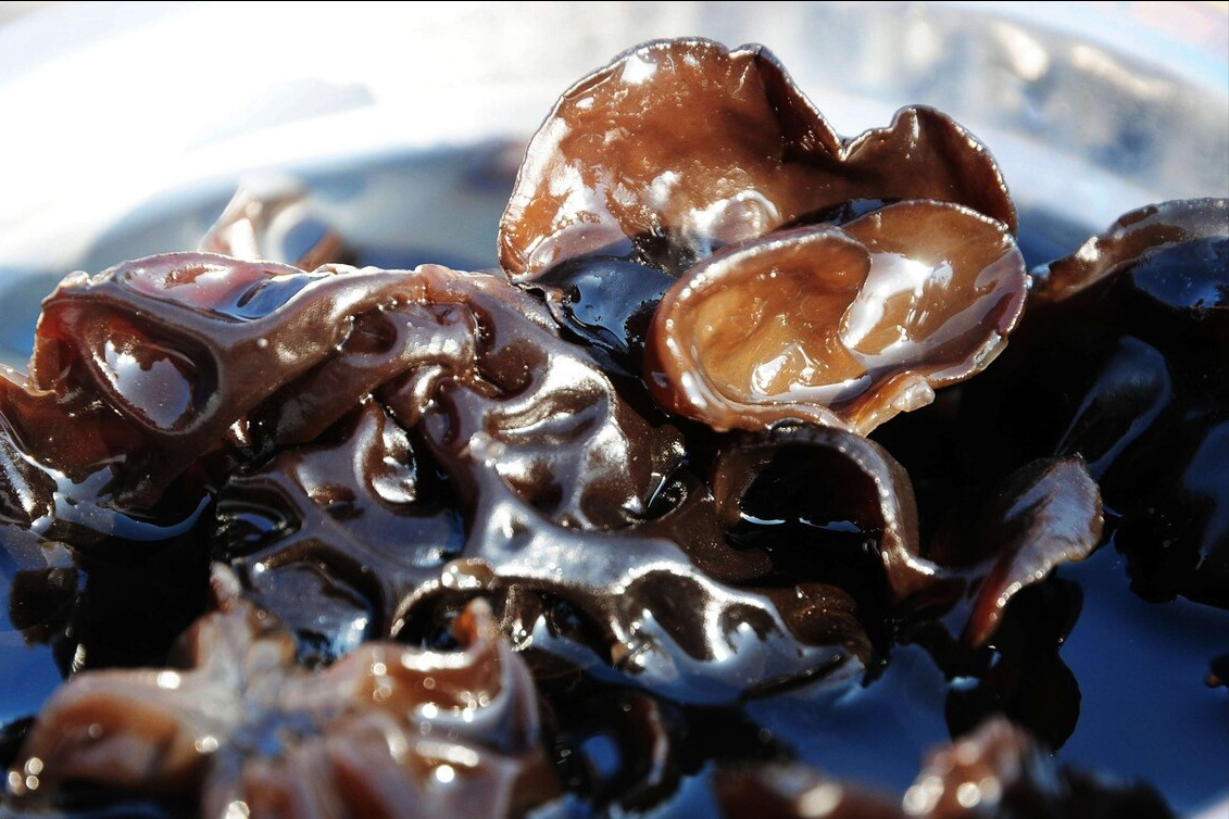 木耳泡发率高(木耳泡发率高是什么原因) - 趣味头条