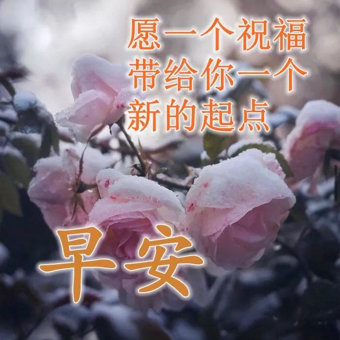 周六更新早上好表情包，秋日渐凉，愿你平安，早安吉祥，幸福安康图片