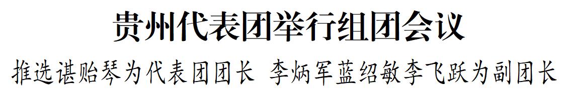 贵州代表团举行组团会议 推选谌贻琴为代表团团长 李炳军蓝绍敏李飞跃为副团长