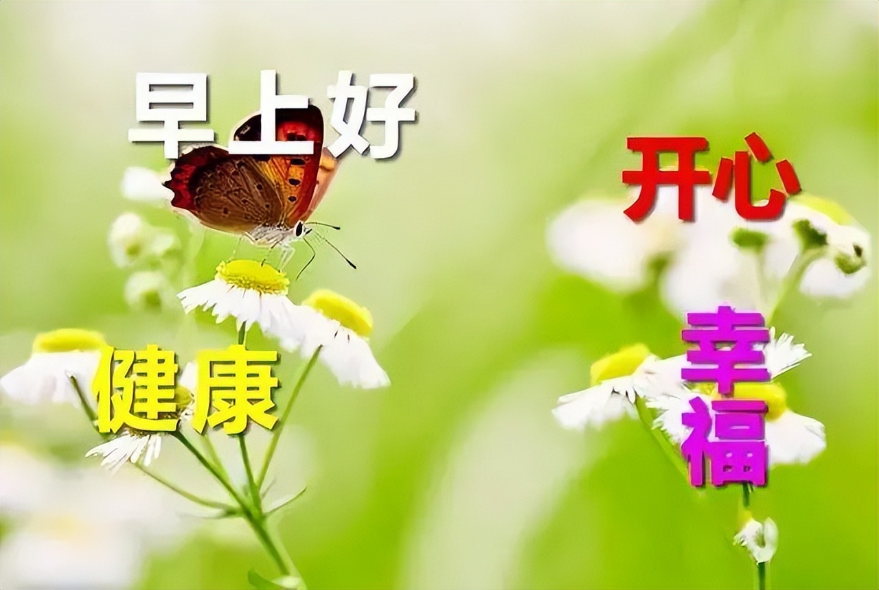 早安问候语 每日更新早上好的动态表情包 淡然的心态，是人生的成熟图片