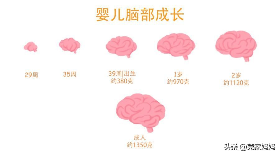 宝宝智力发育异常，婴儿时期就会有“信号”，5个细节可判断