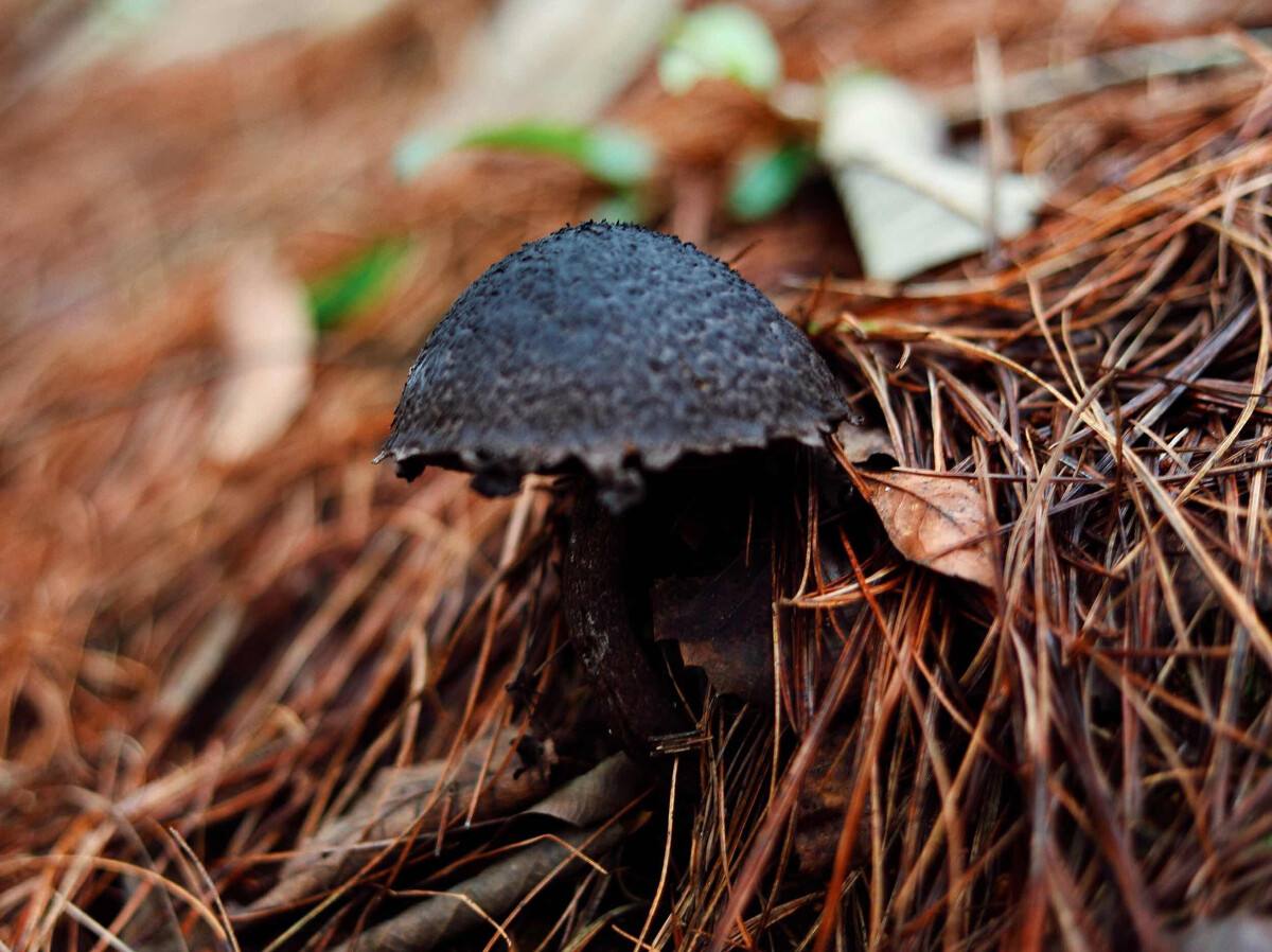 2005年,吉林山村尴尬事,村民深夜睡觉总尿床,老人:真丢人怎么见人