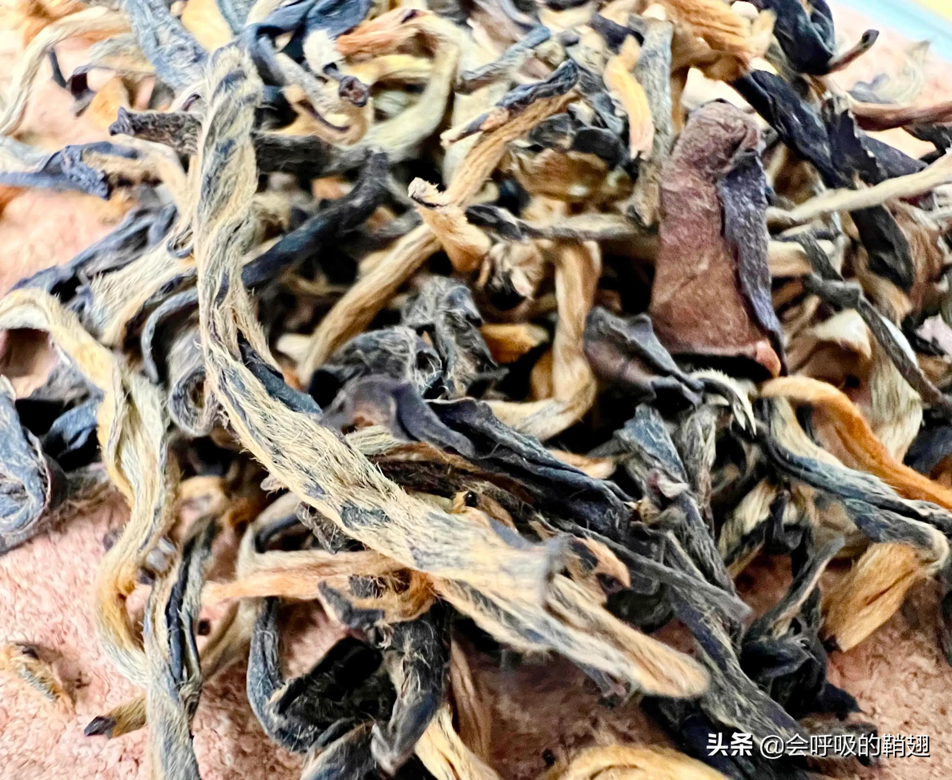 云南12种滇红茶,有你爱喝的吗?