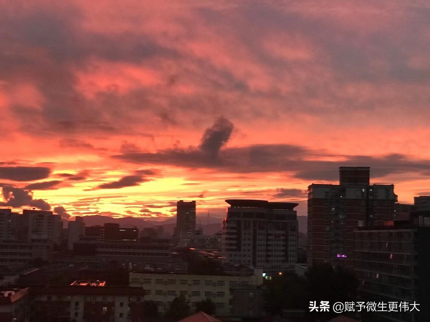 仰望长天——别样风情