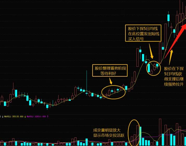 该股在左侧呈现出缩量的不断下跌走势,同时股价完全受制于 5 日均线的