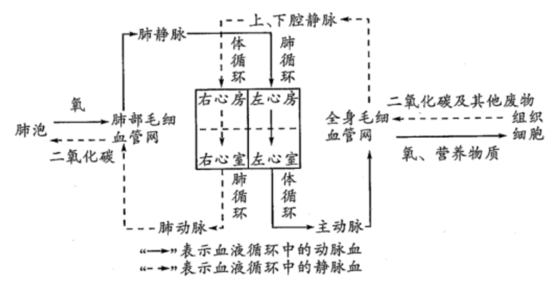 最新2023中考生物知识点整理