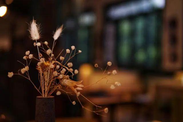 尤今《人到中年》:"少年为未知的前途彷徨,老年为已知的寂寞而发愁;独