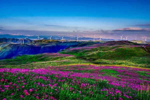 <a href=http://www.gzculture.net target=_blank class=infotextkey>毕节</a>市“洞天福地·花海<a href=http://www.gzculture.net target=_blank class=infotextkey>毕节</a>”旅游标识在赫章县发布