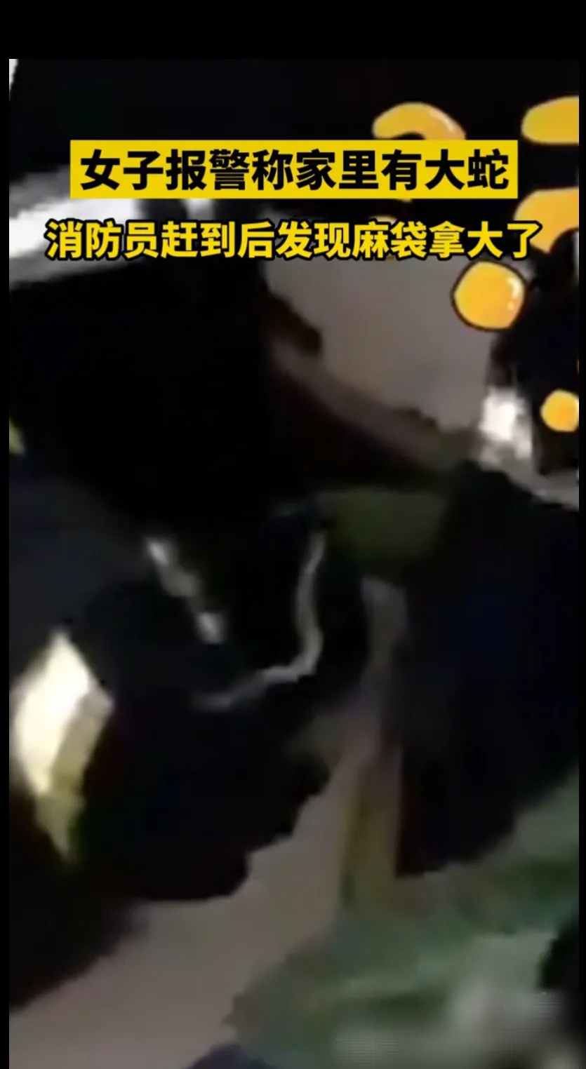 我害怕极了！山东济南,一个女人向消防队员报告说她家有一条大蛇，因为它太大了