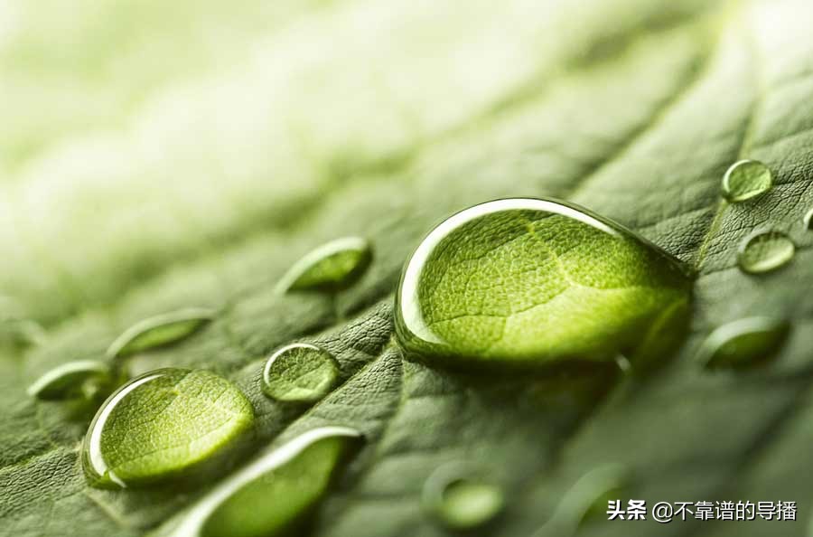 28 种摄影类型：哪个利基适合您？