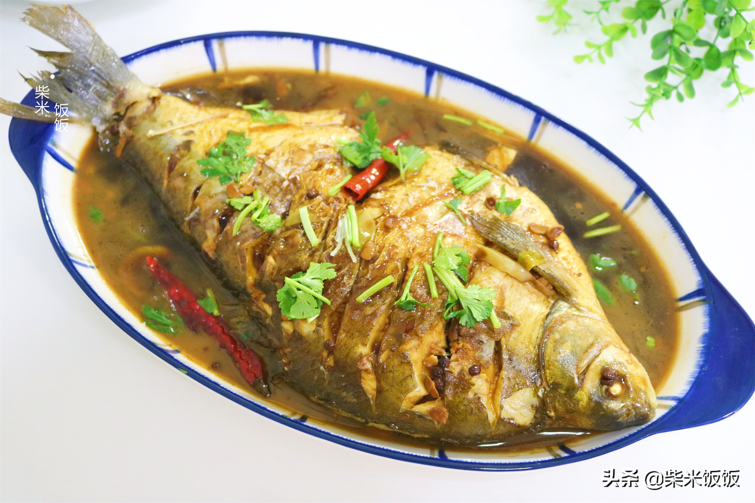 红烧鱼图片(家常红烧鱼) - 赤虎壹号