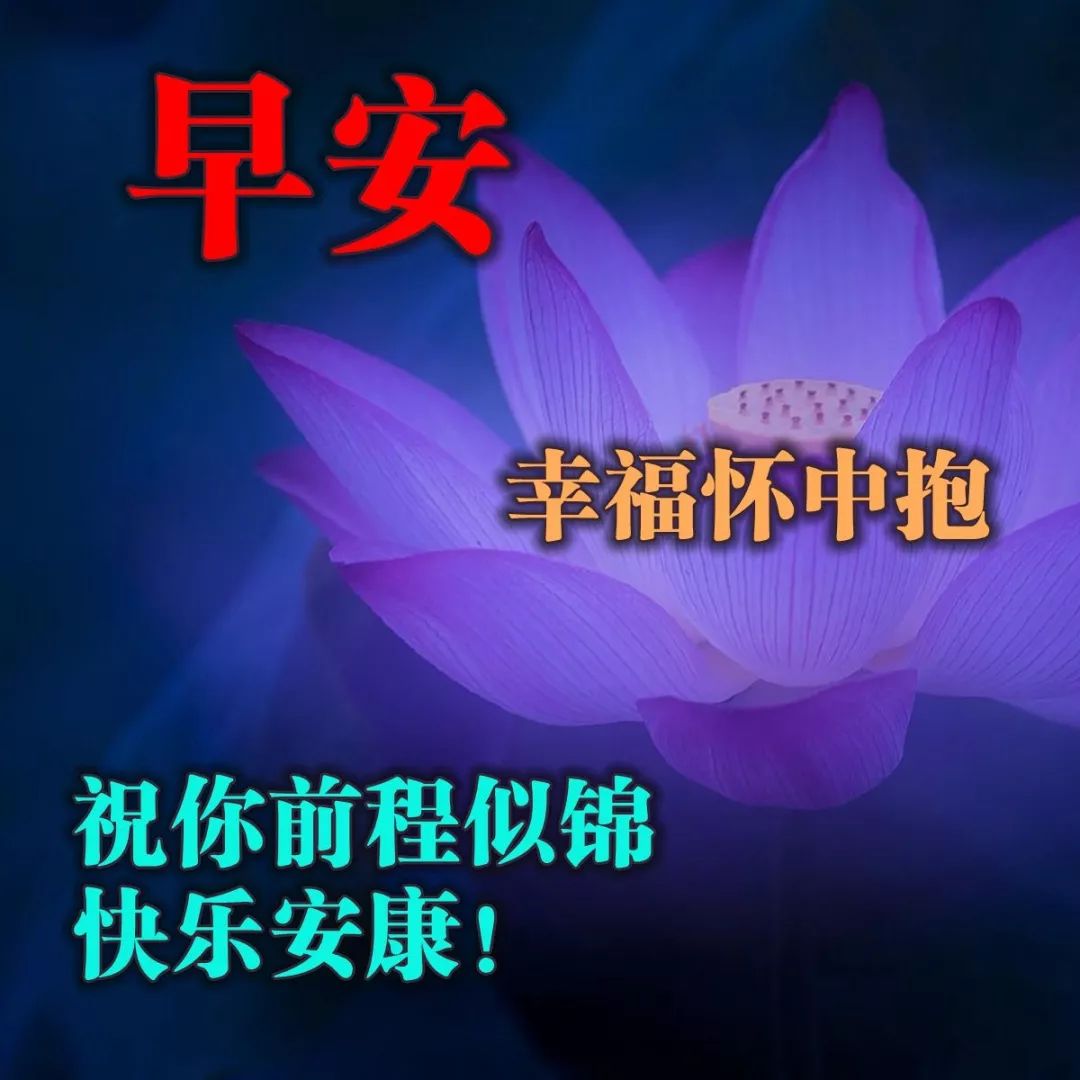 早上好唯美问候图片 祝福依旧早安图片合集祝福好友样样都好图片