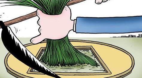 网站快速收录？代做网站收录？别再当韭菜了，原理在这里
