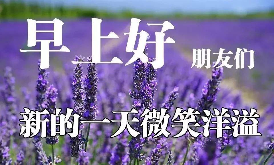 适合群发亲友的早上好表情包祝福图片带字 开心笑一笑，烦恼不见了图片