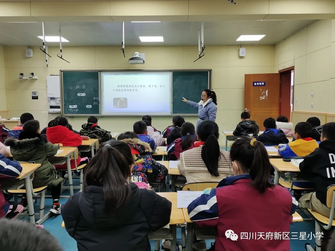 四川天府新区三星小学——我手写我心 彩笔绘生活