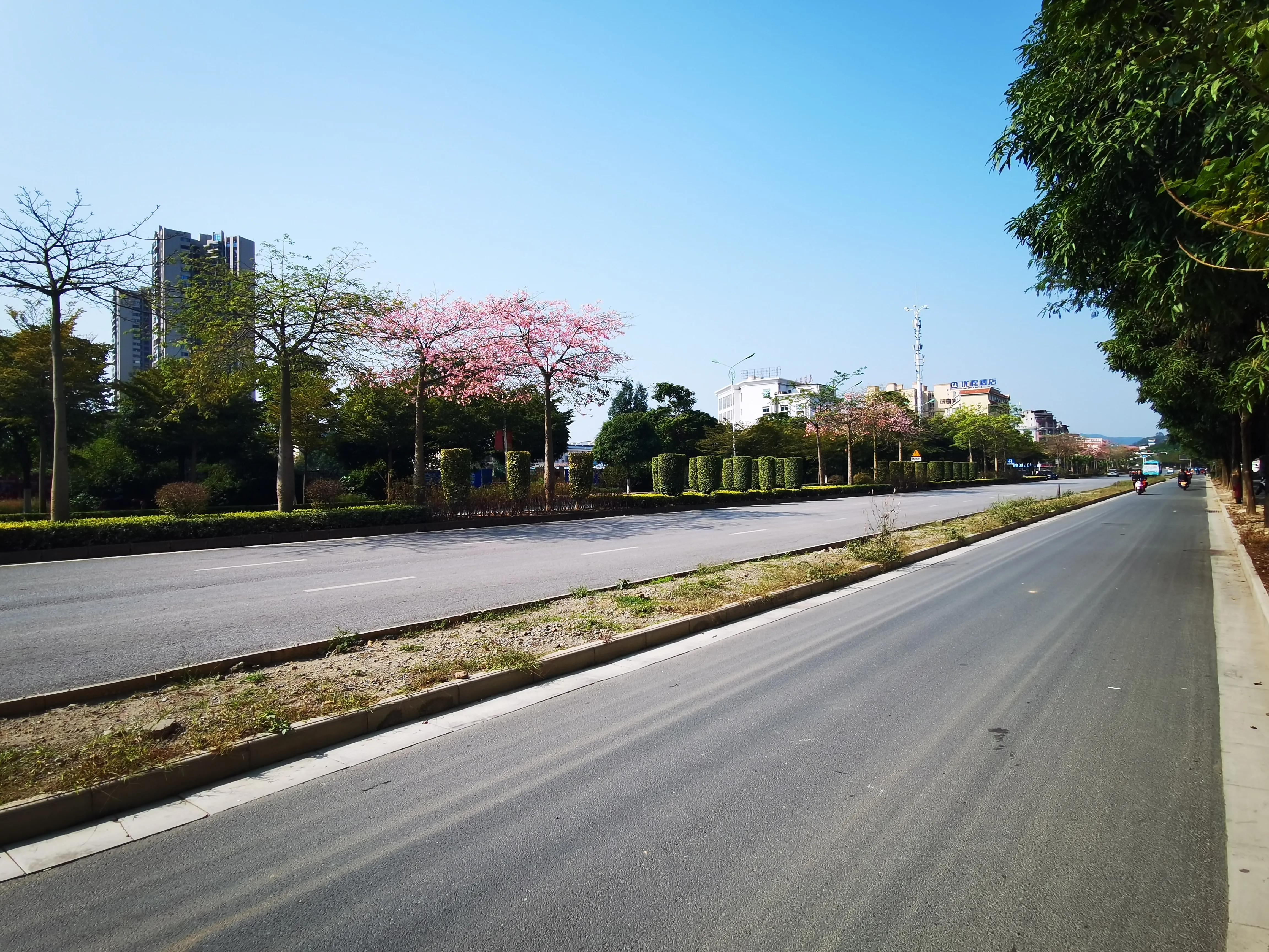 百色市站前大道“白改黑”工程即将完工 百色,百色市,站前,大道,工程