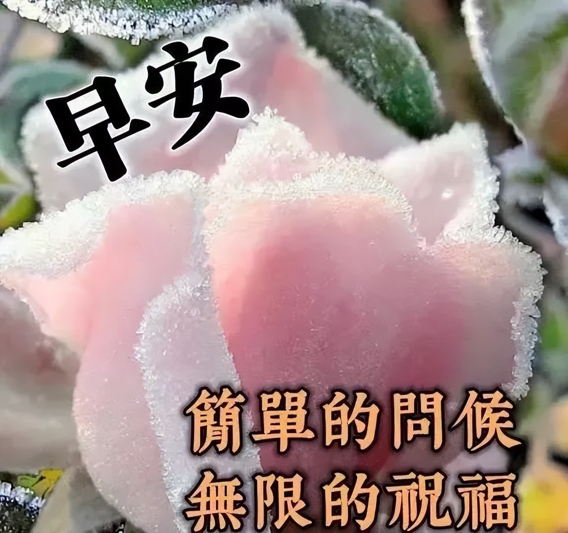 微信精选周末最美早上好动态图片带字 笑口常开、好运自来图片
