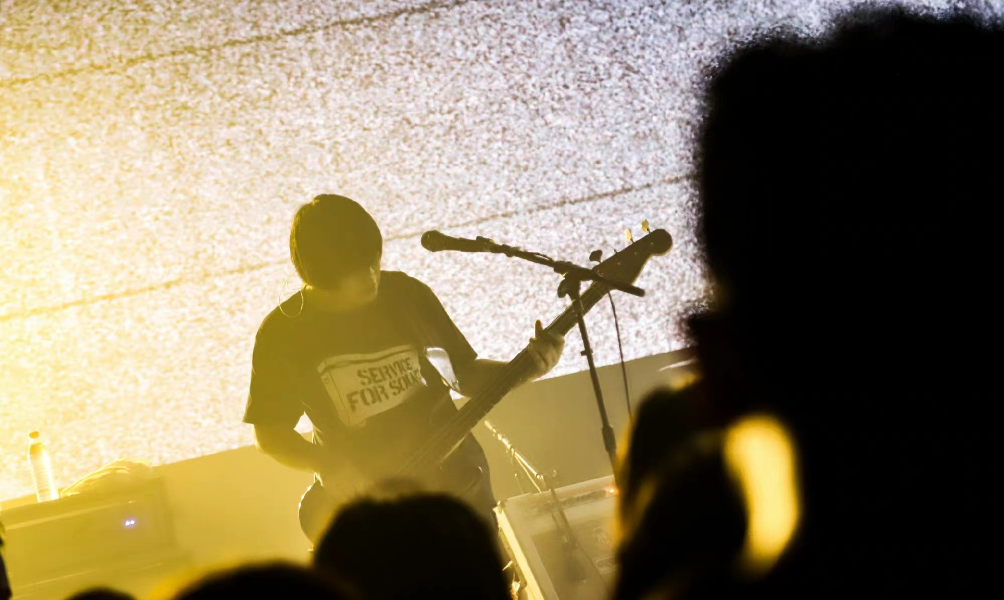 音乐节发生“人砸人”意外！乐迷被跳水者砸晕，伤情严重仍在ICU