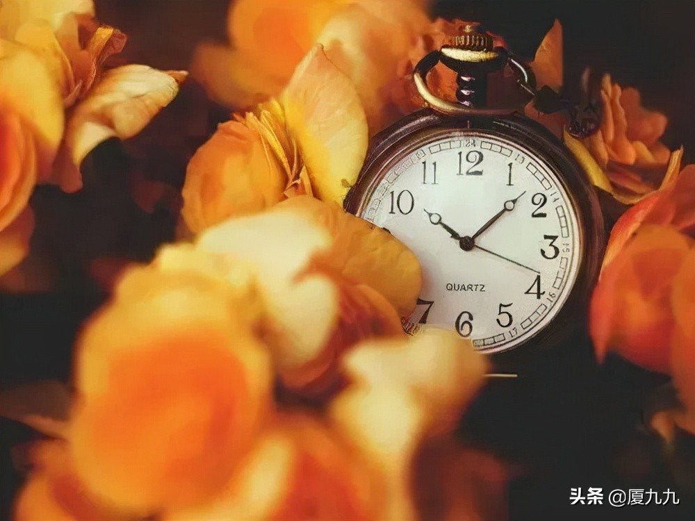 如何从0开始做小红书？一次性给你讲透彻