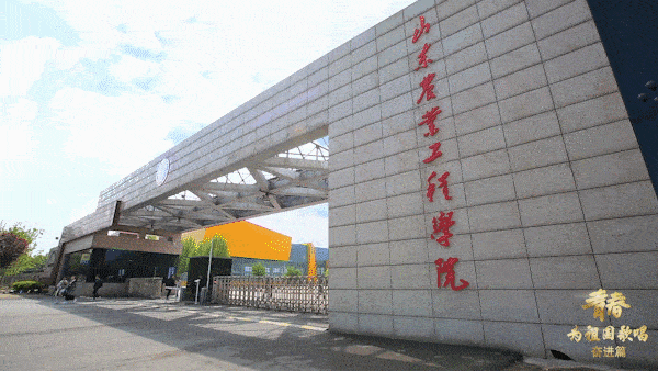 上涨！山东省2022年美术统考成绩可查，最好考的大学需要多少分？