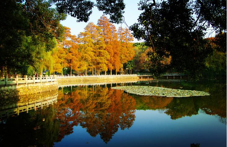 国内十大最美校园名单出炉，学校也开始拼颜值，学习生活两不误